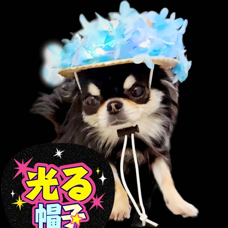 麦わら帽子Ꮇお好みカラー✗ホワイト犬・猫 プルメリア装飾❁handmade