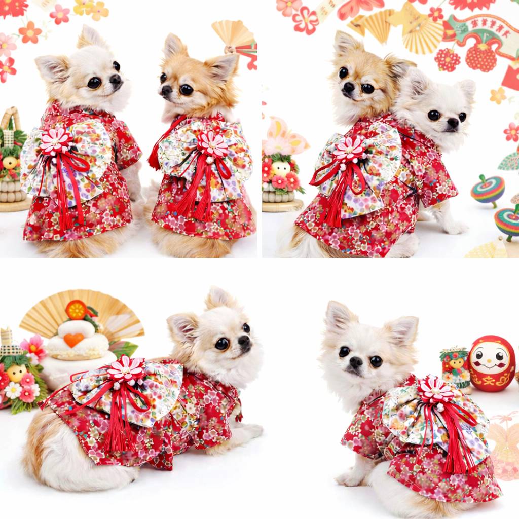 着物 犬 犬の着物 晴着 お正月 犬服 お正月 記念撮影 帯 花柄 可愛い