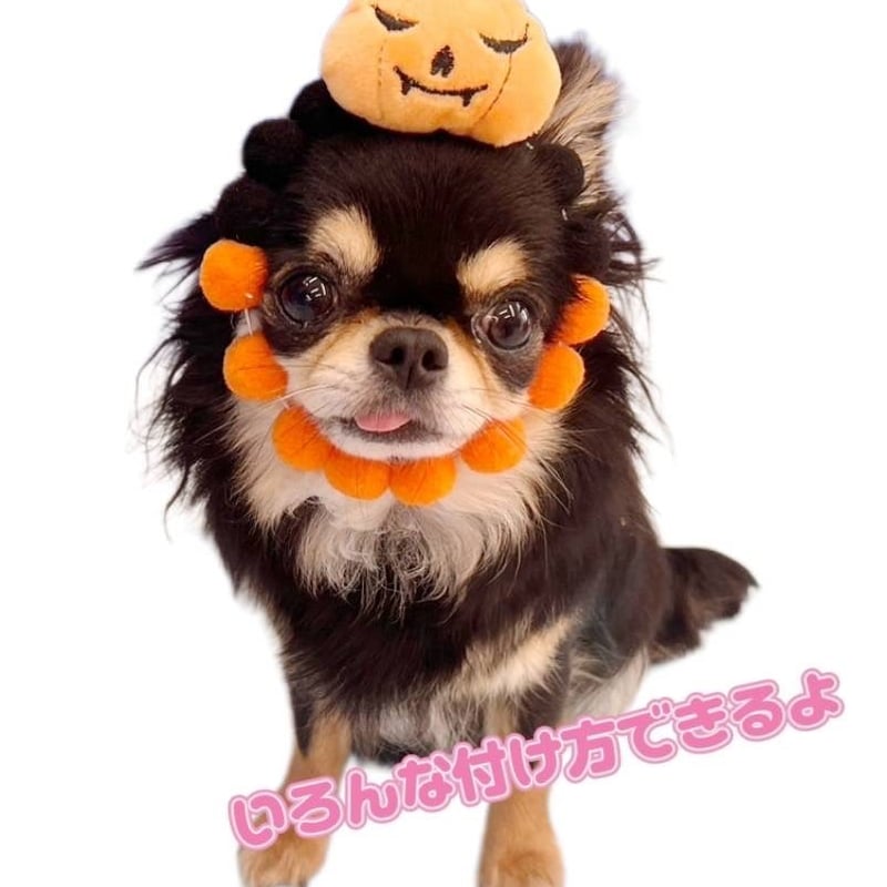 ハロウィン　業務用フェルトトリミングチョーカー　背景布×2枚　ペット撮影用ブース ハロウィン 業務用フェルトトリミングチョーカー 背景布×2枚 ペット