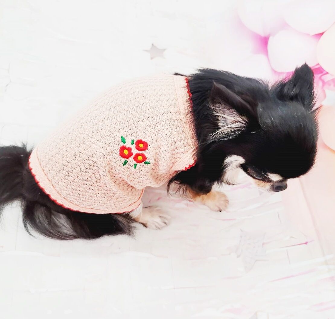 ハンドメイド　編み模様両面ボアタンクトップ　犬服 ハンドメイド 編み模様両面ボアタンクトップ 犬服 - メルカリ