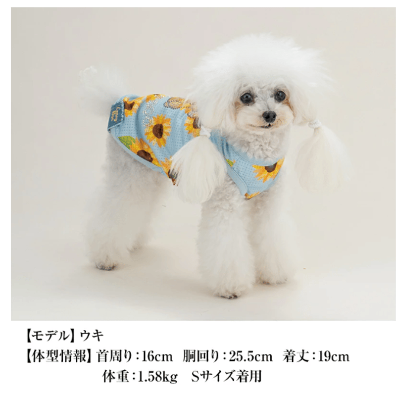 犬の服 ひまわり柄メッシュタンク CRAZYBOO クレイジーブー 犬服