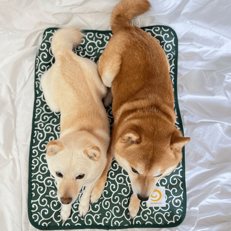 ENDLICHERI☆ENDLICHERI/不完全 FUNKY WHITE D…