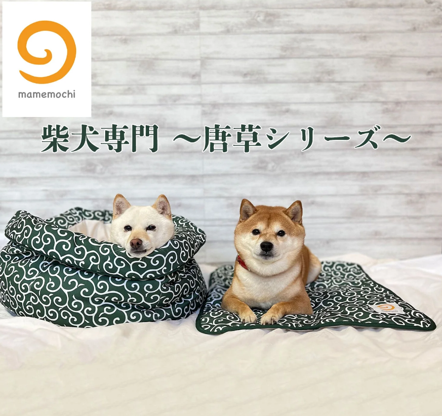 ENDLICHERI☆ENDLICHERI/不完全 FUNKY WHITE D…