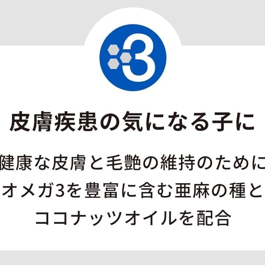 63ca28f252de155b99f2f96e