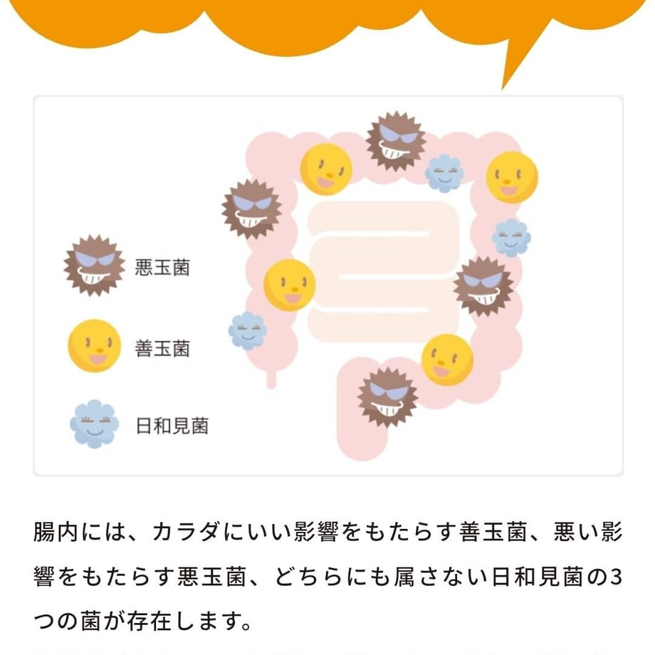 63ca28f252de155b99f2f96e