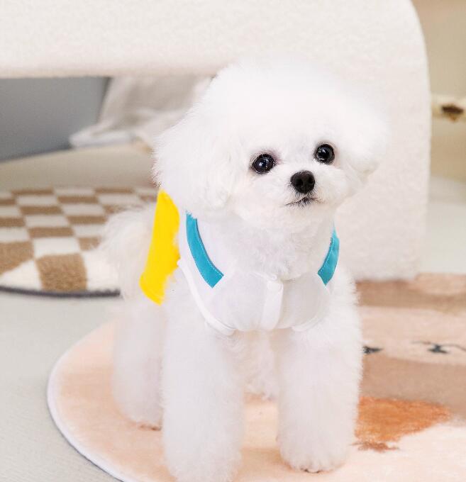 ゆずき☆犬服サロペットパンツ 24-11008-1_15.jpg