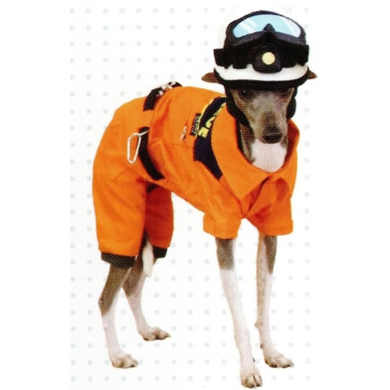 犬服.なりきり消防士.ドッグレスキュー compass1629857078.jpg?fitin=