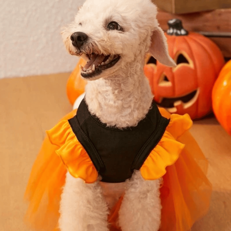 Halloween限定】ドッグドレス ワンピース トイプードル
