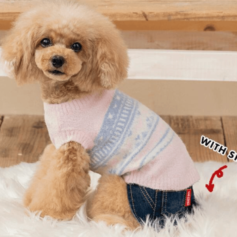 ブルブブ　犬服　ショートパンツ＆パリエロフリルキャミ ブルブブ 犬服 ショートパンツ＆パリエロフリルキャミ