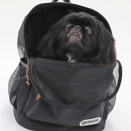 OUTDOOR PRODUCTS アウトドアリュック Ｌ ペットキャリー リュック Lサイズ 犬 猫 多機能 メッシュ 通院 防災 お出かけ 大型 ブラック リュック型 キャリーバッグ