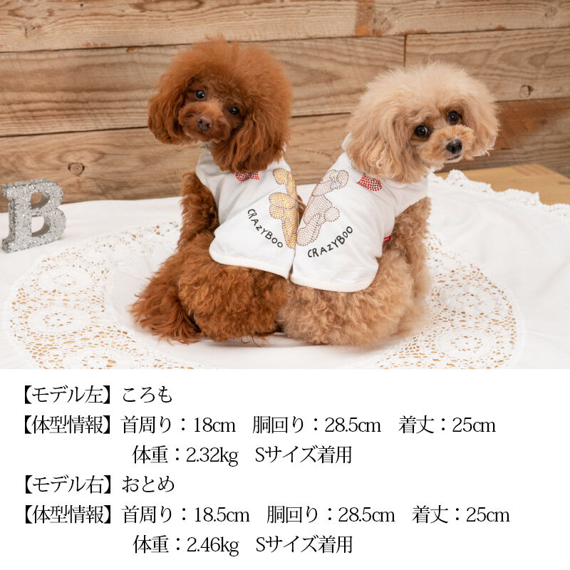 キラ　★美品　CrazyBoo クレイジーブー犬服８着XS①②③ CRAZYBOO Baby クレイジーブー Kiss youパーカ 犬服 ドッグウェア 犬 春