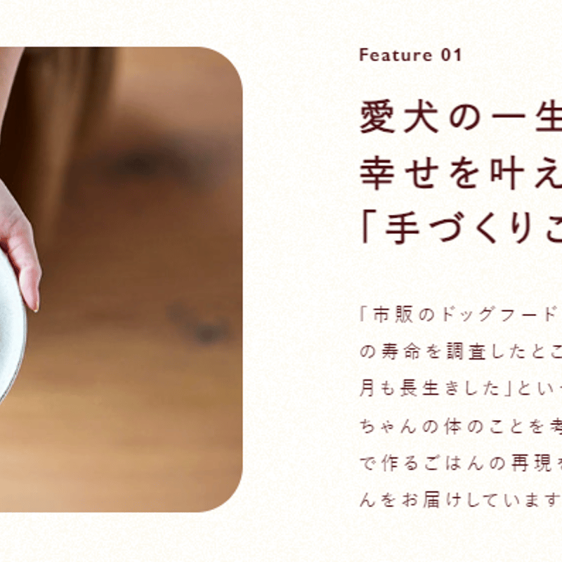 ココグルメ チキンポーク 犬常温タイプ 美味しい 獣医師監修