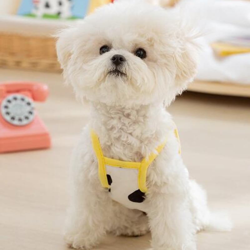 バナナタンク リードフック付き 犬 犬服 わんこ 可愛い 夏服 春夏 薄手