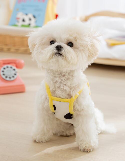 バナナタンク リードフック付き 犬 犬服 わんこ 可愛い 夏服 春夏 薄手