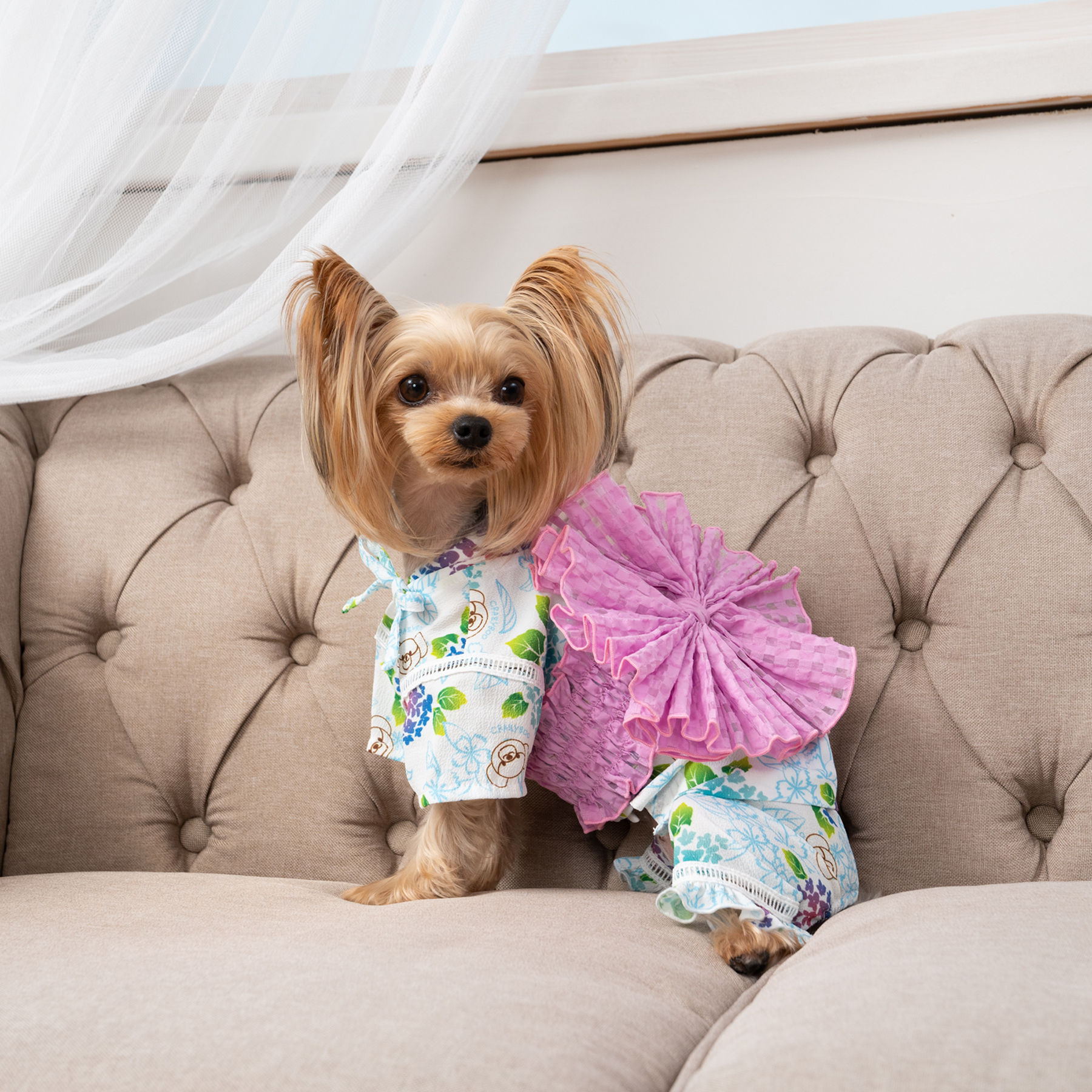 犬の服 あじさい柄甚平 CRAZYBOO クレイジーブー ゆかた 着物 CB241074