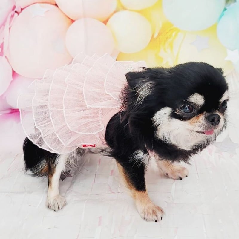 犬 服 5段フリルスカートワンピース 春夏 犬の服 フラワー 花