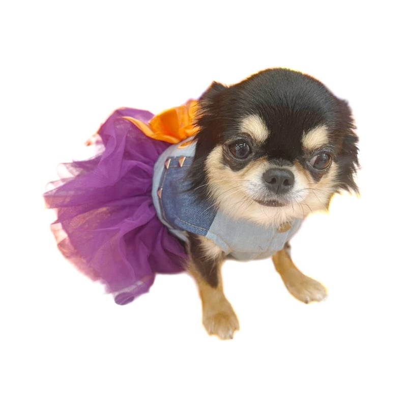 ハロウイン 犬服 ワンピース レース フリフリ デニムワンピース