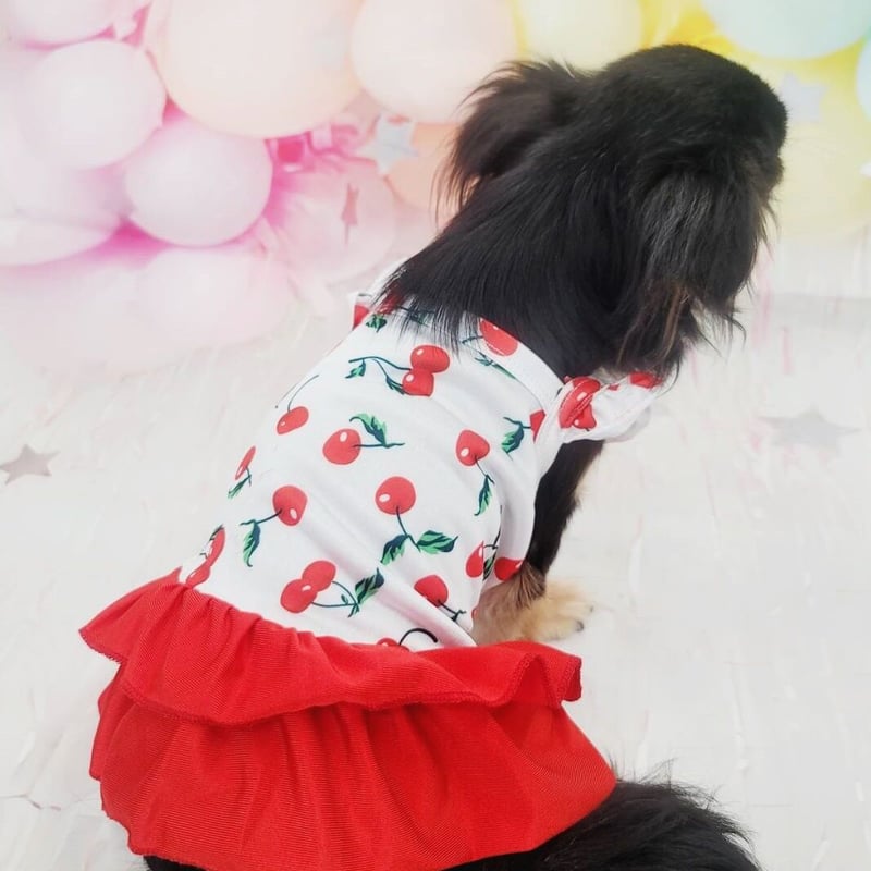 犬の服 チェリー ワンピース 帽子付き 犬 犬服 春 夏 さくらんぼ