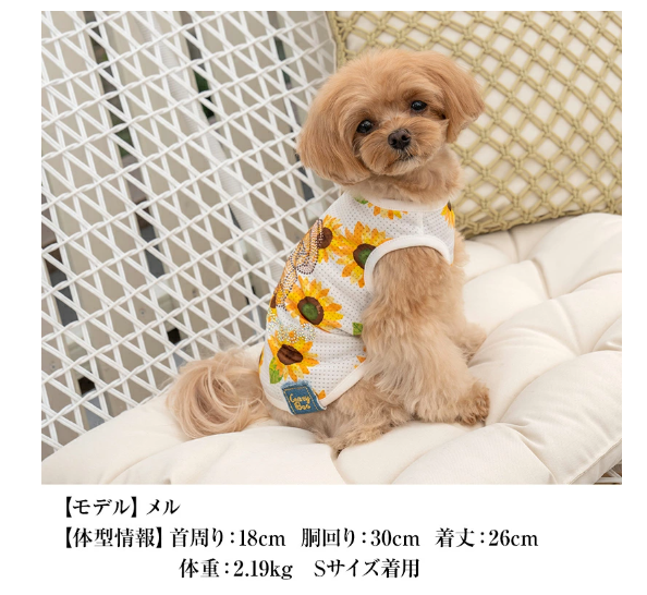 ぴぴ様❤️夏♡メッシュ♡ハンドメイド犬服 k-city_mdac1325