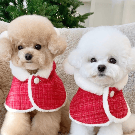 クリスマス　マント　Xmas　犬　ポンチョ　コート　可愛い　ホワイト　小型犬　プードル　チワワ　マルチーズ　ポメラニアン