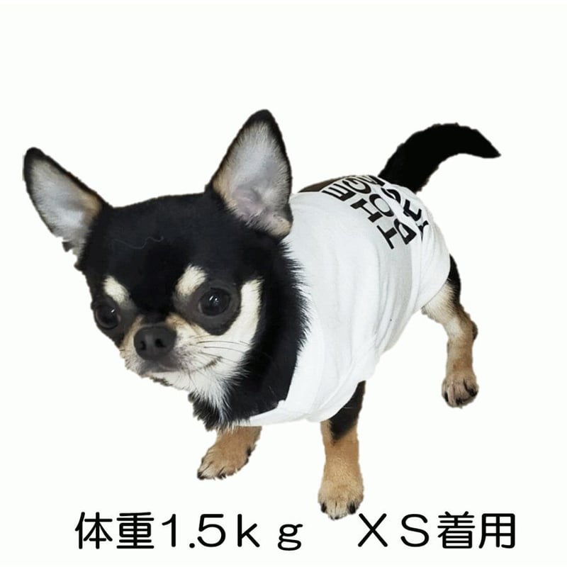 Tシャツ Lサイズ タンク シャツ わんこ 犬 服 犬の服 ドッグウェア