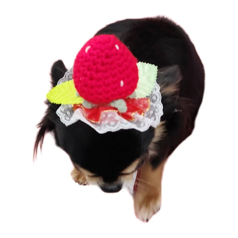 犬 帽子 いちご ヘッドドレス 犬の帽子 犬用帽子 イチゴ 苺 小型犬