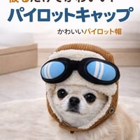 パイロットキャップ 犬  犬用帽子 ボア付き 防寒 帽子 小型犬 中型犬 大型犬 ペット用帽子 犬グッズ 防寒グッズ マジックテープ 簡単着脱 犬用コスチューム