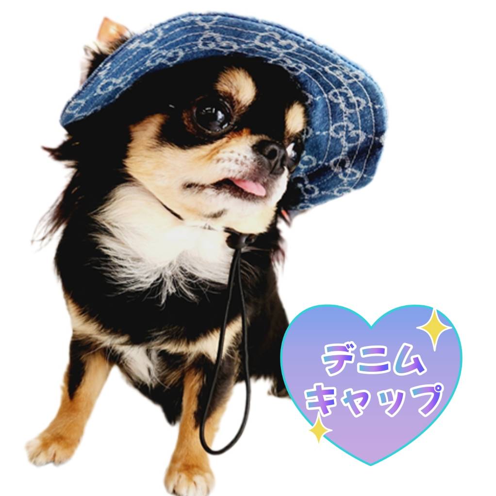 ロゴキャップ 帽子 デニム ハット おしゃれ わんこの帽子 犬の