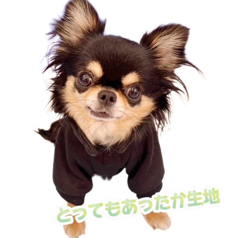 パンダ パーカー 可愛い 着ぐるみ トレーナー 犬 服 小型犬 リードフック付き | MERRILY