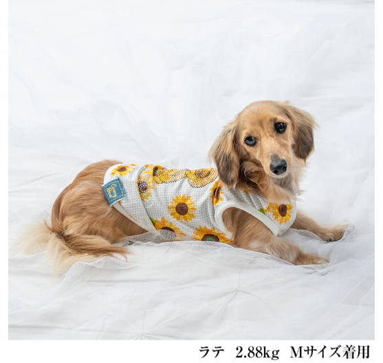 犬の服 ひまわり柄メッシュタンク CRAZYBOO クレイジーブー 犬服