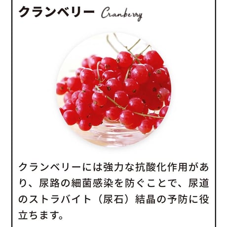 ピュアラックス ドッグフード エリートニュートリション サーモン 全年齢対応の総合栄養食 グレインフリー ヒューマングレード