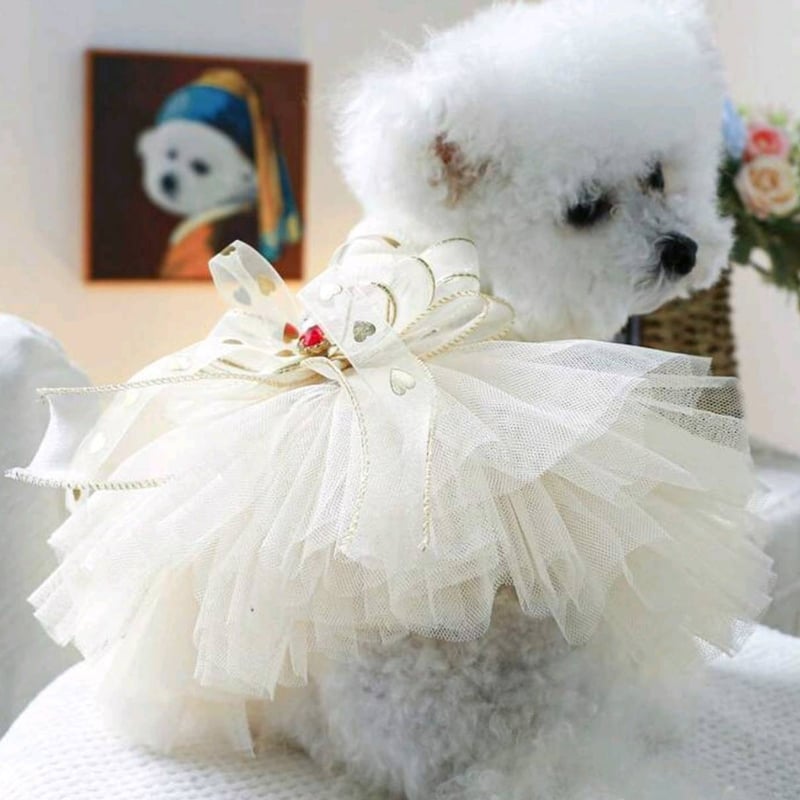 くまさん犬用ドレス・フリル付き フリフリ ドレス くま リボン 犬 小型犬 中型犬 ワンピース