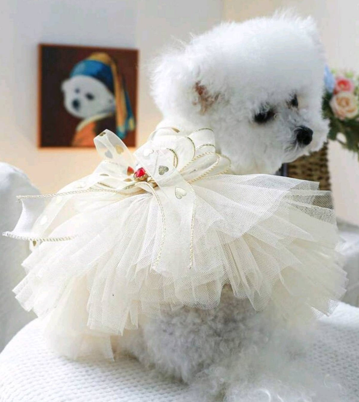 フリフリ ドレス くま リボン 犬 小型犬 中型犬 ワンピース チワワ