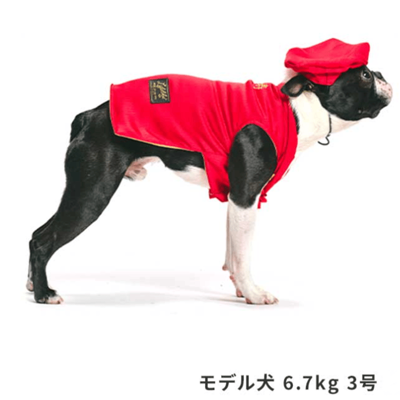 還暦お祝いセット 犬 お祝い 赤いちゃんちゃんこ 犬の服 犬服 写真撮影