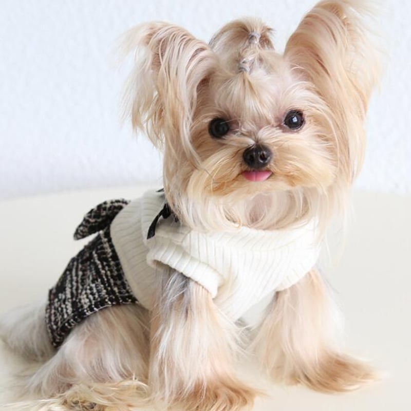 犬服 S わんこの普段着 くまの散歩 犬服 M わんこの普段着くま