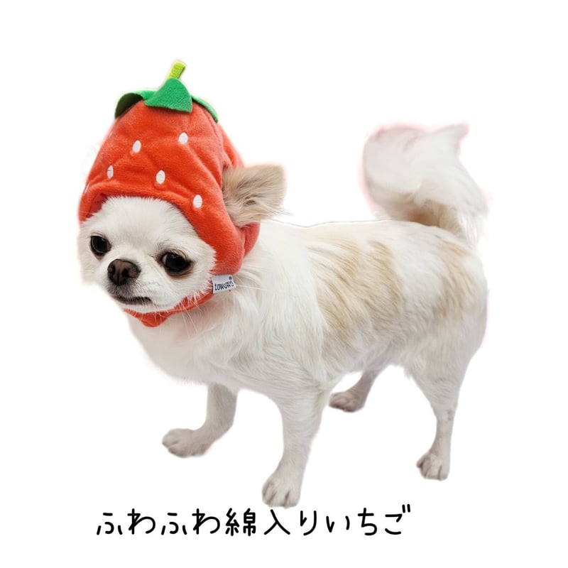 犬用いちご帽子 苺 帽子犬 ペット 小型犬 犬用 被り物 キャップ 犬帽子 犬の帽子 犬用