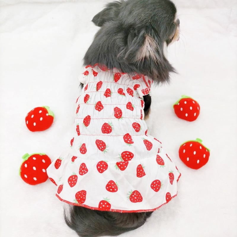 犬服 SS わんこの普段着　ときどき白いちご 犬服 SS わんこの普段着 ときどき白いちご