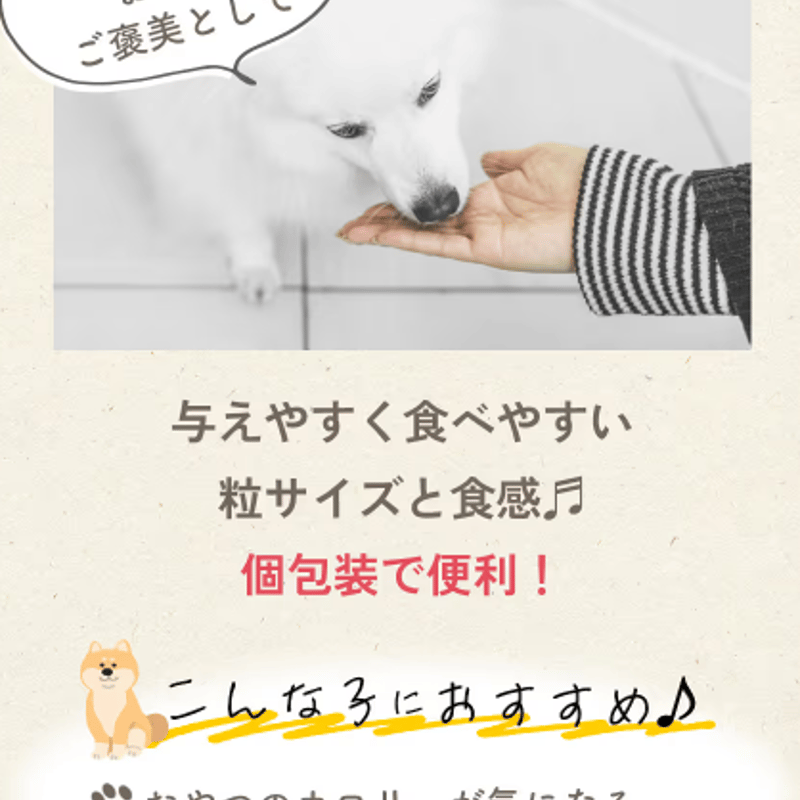 ミシュワン MISHONE セミモイストドッグフード全年齢用 国産鶏肉＆馬肉