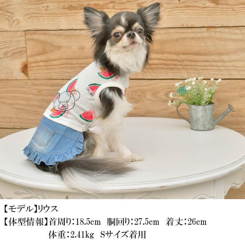 犬服 スイカ柄キャミワンピ DM ハンドメイド 可愛い小型犬の洋服通販