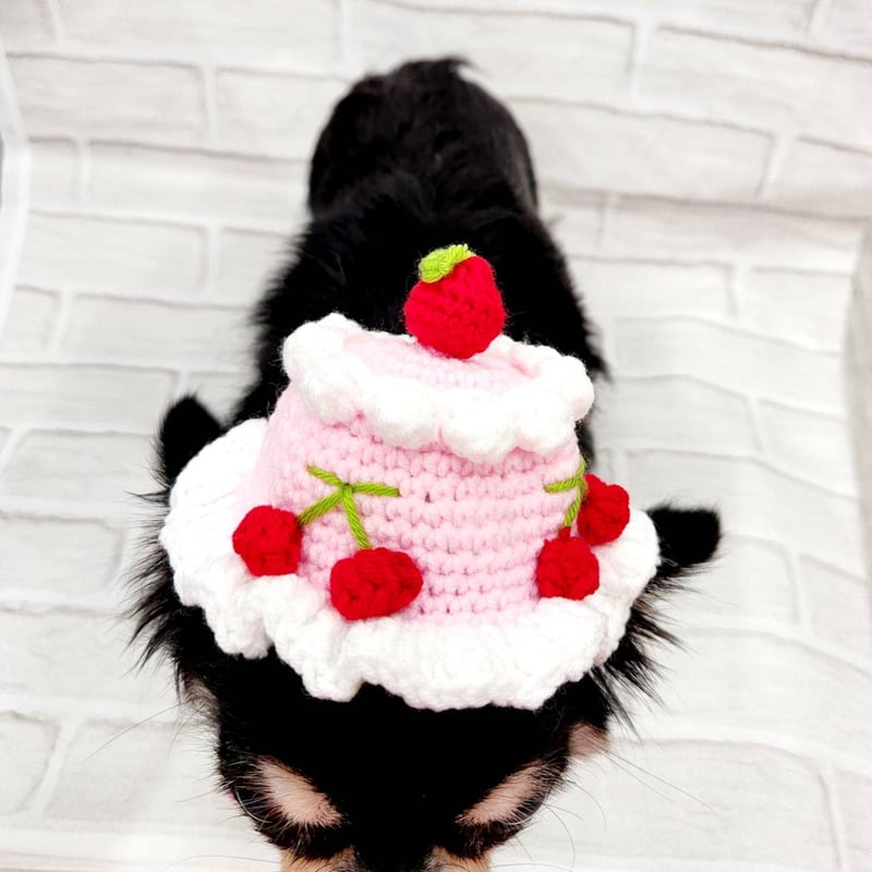 犬の帽子 犬 変身帽子 ニット帽 ケーキ帽子 苺帽子 くまさん帽子