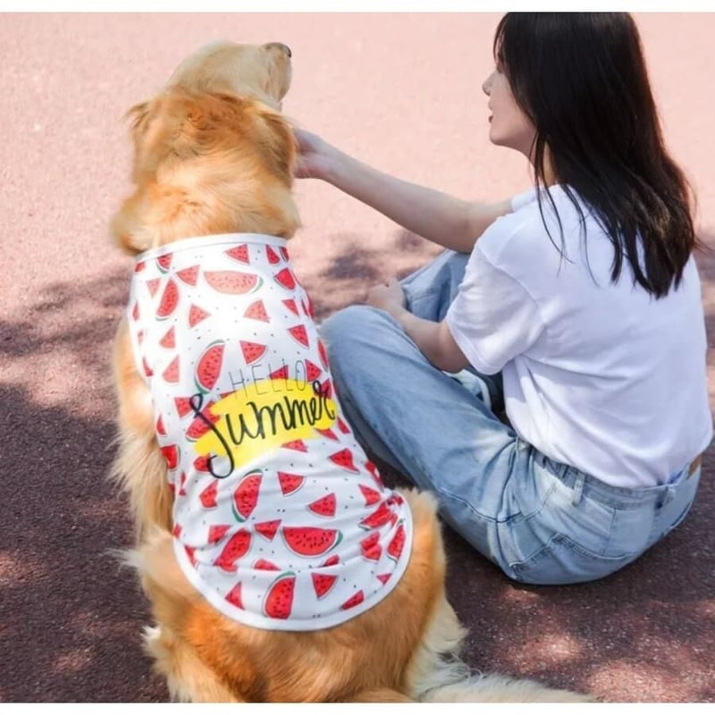 4XLスイカ柄タンクトップ トップスシャツ 夏 犬の服 大型犬 わんこ服ドッグ服 楽天市場】クーポン配布中 【 中型犬用 大型犬用 】犬 服 スイカ