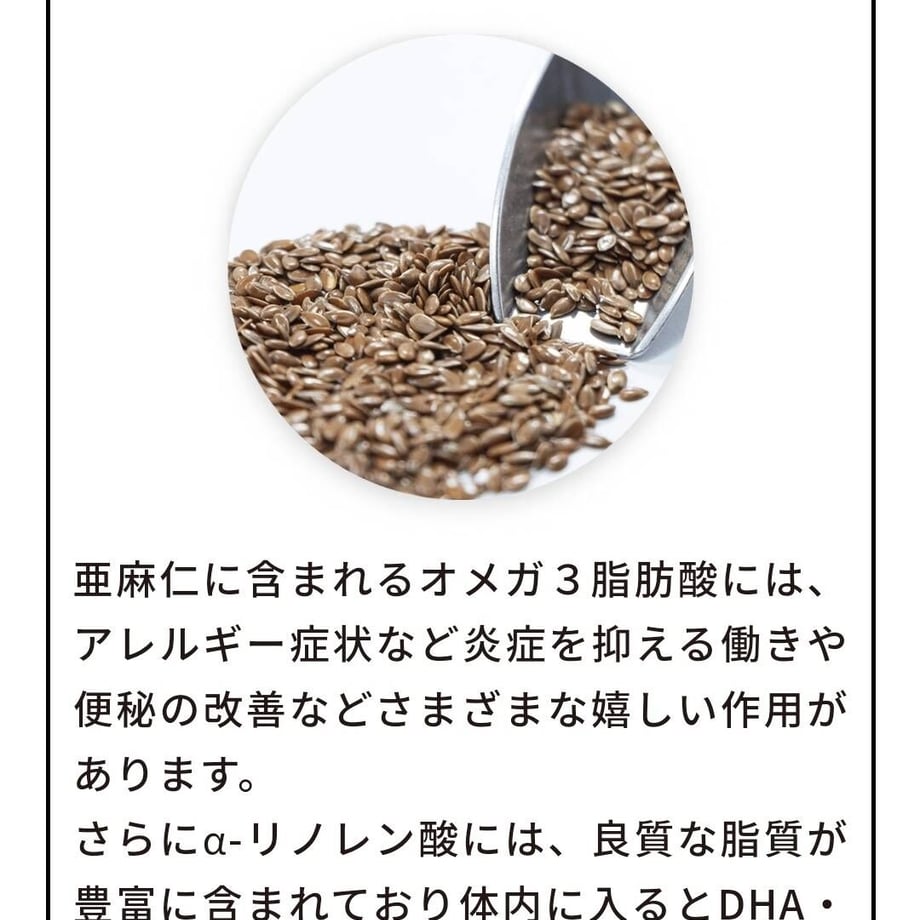 63ca28f252de155b99f2f96e