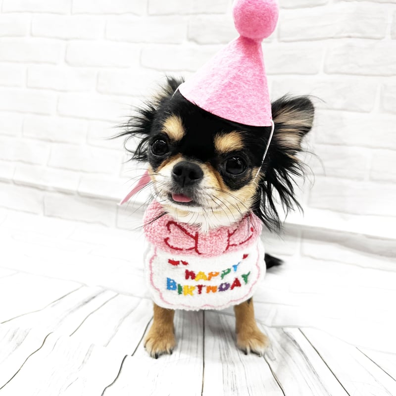 バースデースタイ 誕生日 写真撮影 帽子付き 可愛い 犬 猫 お祝い
