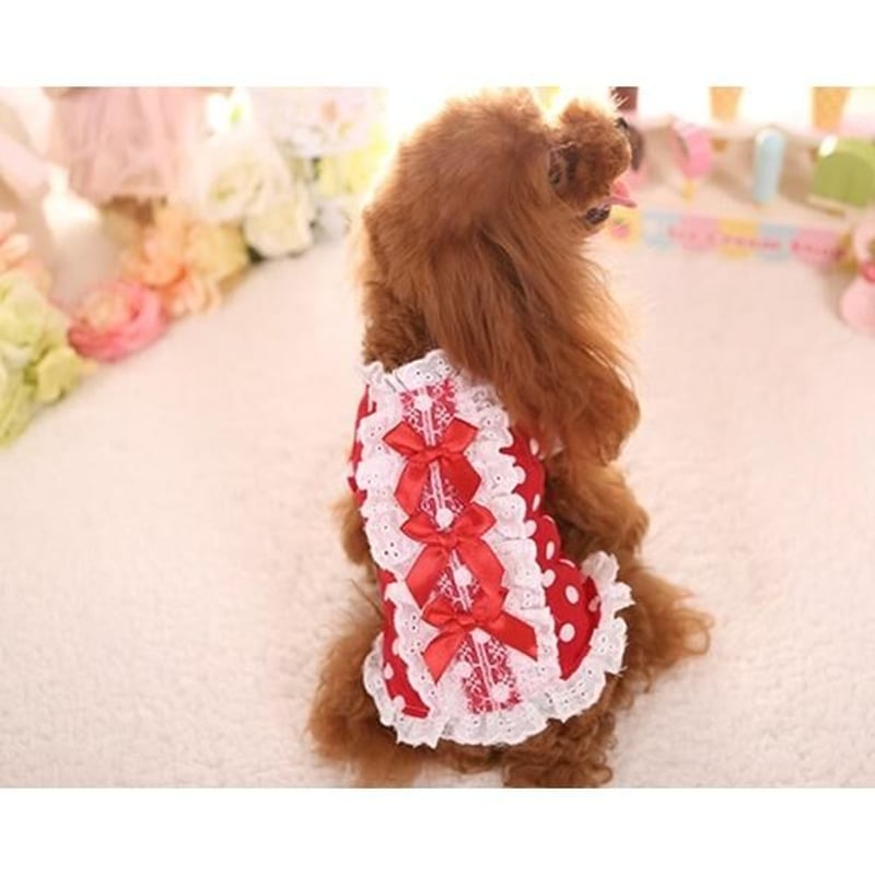 ドット柄ワンピース 2XS 3XS 子犬 パピー 犬服 トイプードル