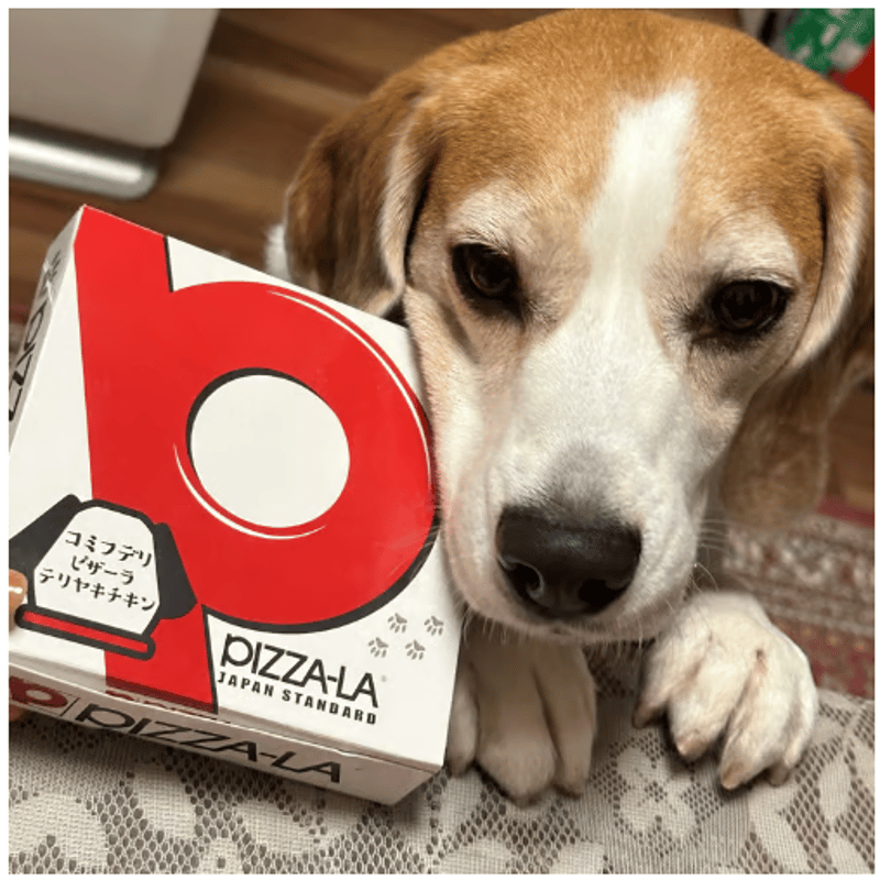 ピザーラ コラボ 犬用ピザ テリヤキチキン 犬 おやつ ペット用フード
