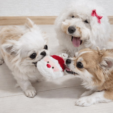 小さなおもちゃ クリスマス 犬おもちゃ 小型犬 子犬 チワワ プードル ポメラニアン トイプードル サンタクロース トナカイ 雪だるま クリスマス プレゼント ギフト くわえる 投げる 遊ぶ