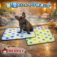 温泉メッシュマット ペット用 クールマット 冷感ブランケット ひんやりマット 夏対策 犬用マット 接触冷感 洗える 軽量 速乾 暑さ対策 熱中症対策 室内用 快適 涼しい 夏用ペット用品