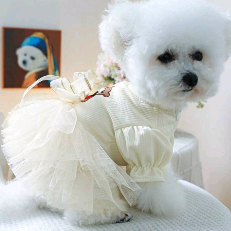 フリフリ ドレス くま リボン 犬 小型犬 中型犬 ワンピース チワワ