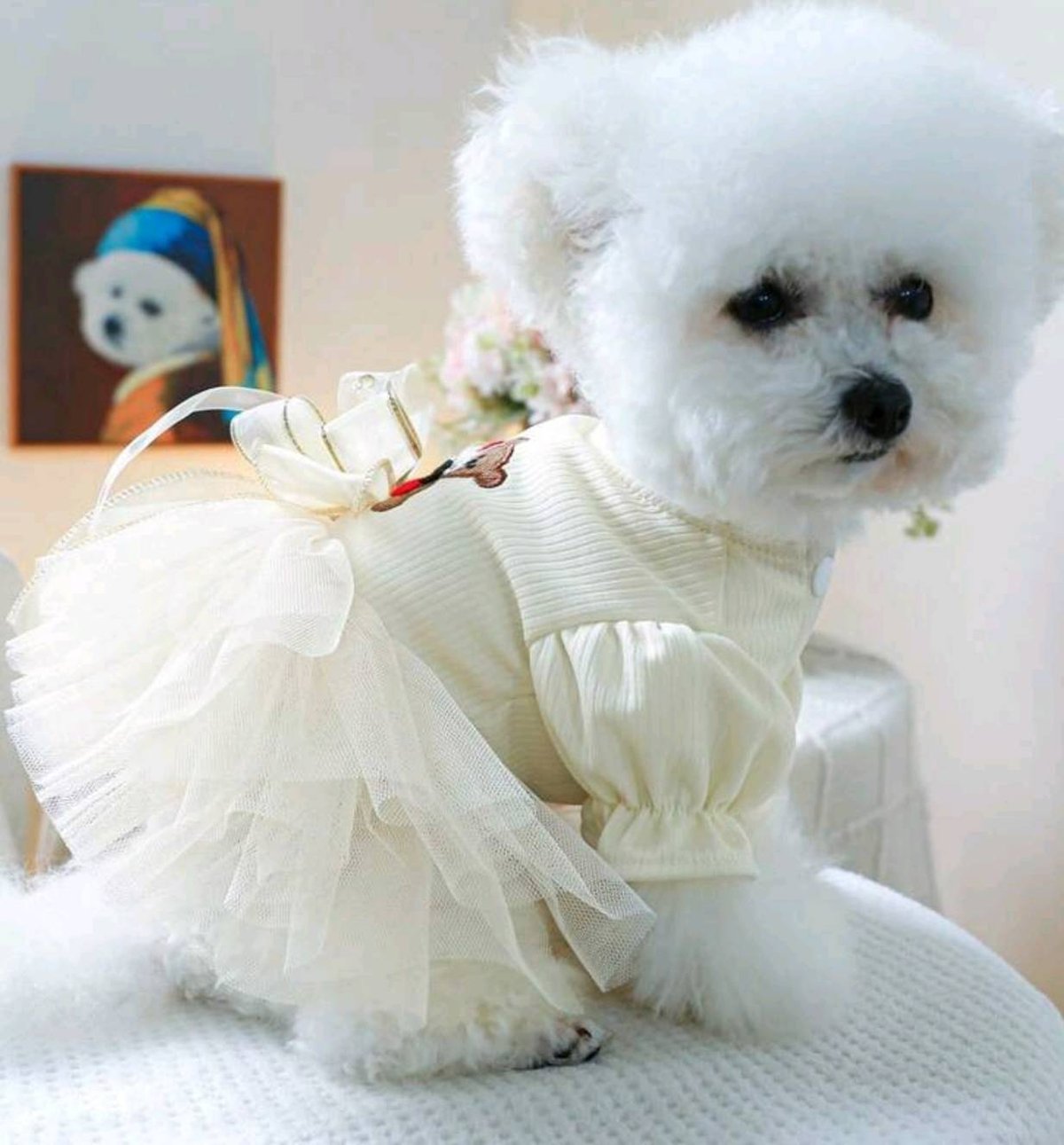 犬服　くまさんレースをたくさん使ったフリフリワンピース見本 犬服 くまさんレースをたくさん使ったフリフリワンピース見本