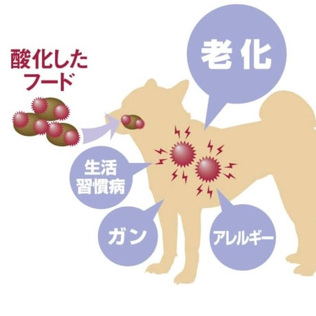 ルート・ゴート ライト 小粒 やぎ カンガルー ヤギ 犬 ドライフード 自然食 ヒューマングレード 低アレルギー 安心フード 小型犬 中型犬 高級 美味しい